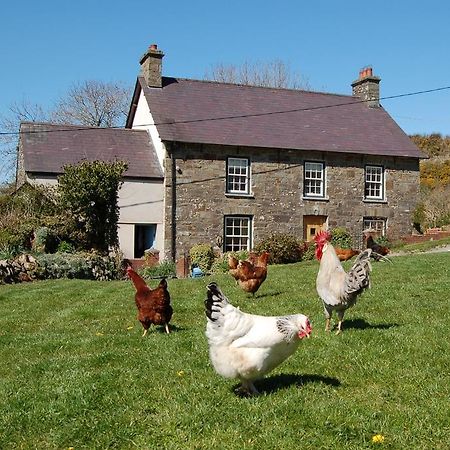 Villa Nantgwynfaen Organic Farm Wales Llandysul Exterior foto