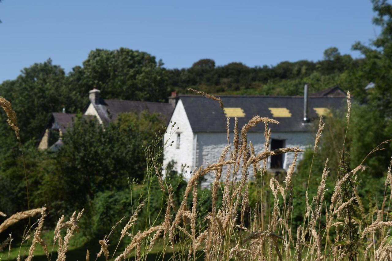 Villa Nantgwynfaen Organic Farm Wales Llandysul Exterior foto