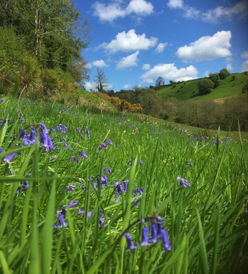 Villa Nantgwynfaen Organic Farm Wales Llandysul Exterior foto