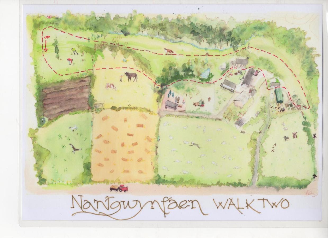 Villa Nantgwynfaen Organic Farm Wales Llandysul Exterior foto