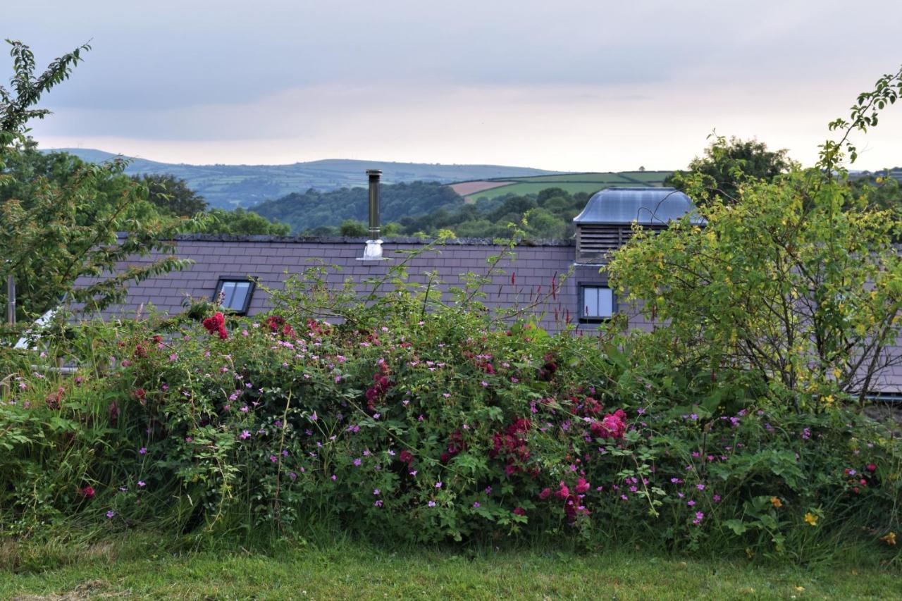 Villa Nantgwynfaen Organic Farm Wales Llandysul Exterior foto