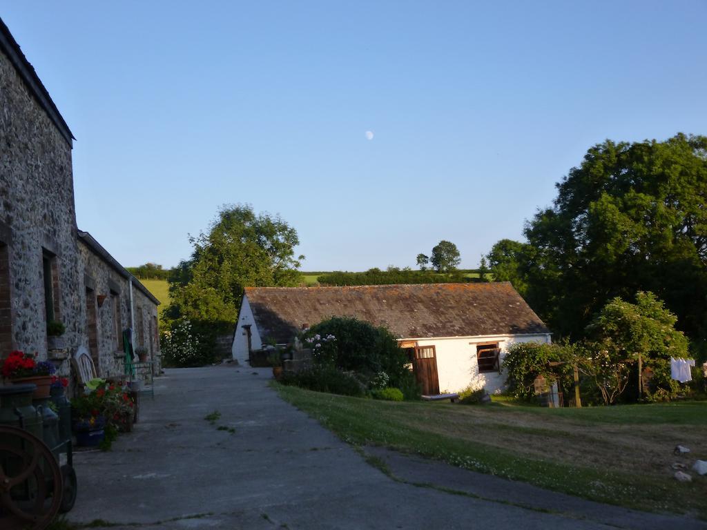 Villa Nantgwynfaen Organic Farm Wales Llandysul Exterior foto