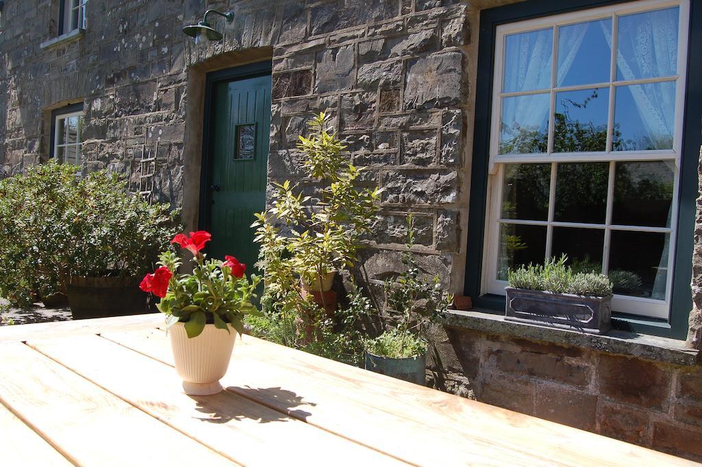 Villa Nantgwynfaen Organic Farm Wales Llandysul Exterior foto