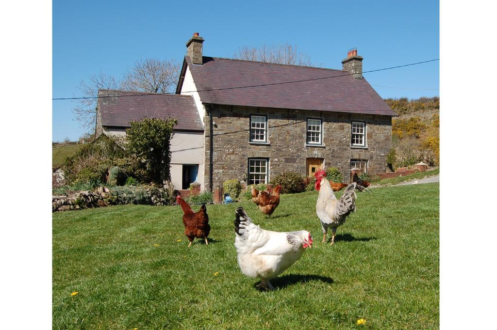 Villa Nantgwynfaen Organic Farm Wales Llandysul Exterior foto